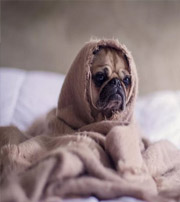 清远有这样的手机号码，留不住钱，你中枪了吗？