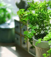 清远专属于你的开运指南，助你鸿运当头福满身！