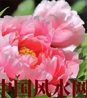 清远预示你财运上升，姻缘可成的梦境，快来看看吧！