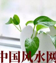 清远家中摆放六种吉祥物，会打开您的财运大门！