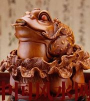 清远解读金蟾最合适的位置，这样摆放更招财！