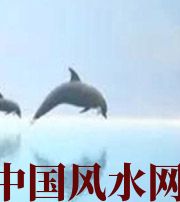 清远做梦梦到这些，是要富裕的征兆！